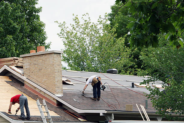 Best Roof Leak Repair  in Homer, GA