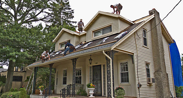 Best New Roof Installation  in Homer, GA